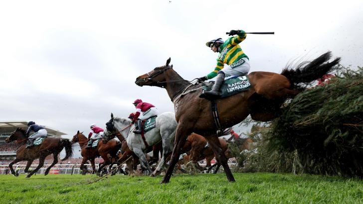 I Am Maximus won the 2024 Grand National